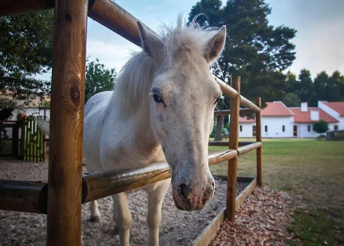 Lejlighed Aldeamento Turistico Do Camarido, Nature & *