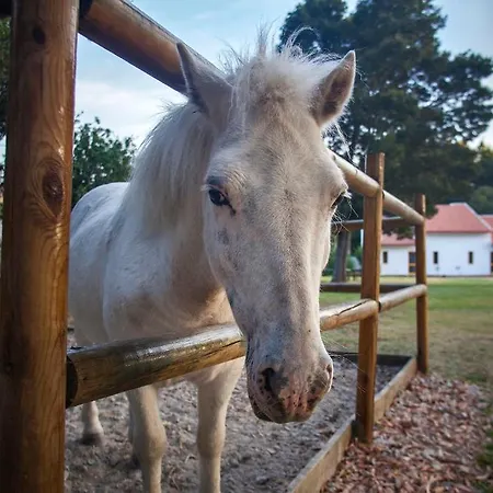 Apartment Aldeamento Turistico Do Camarido, Nature & *