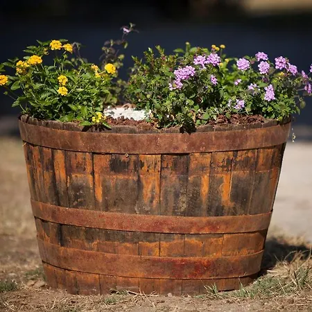 Apartment Aldeamento Turistico Do Camarido, Nature & *