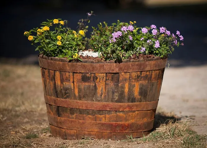 Apartment Aldeamento Turistico Do Camarido, Nature & *